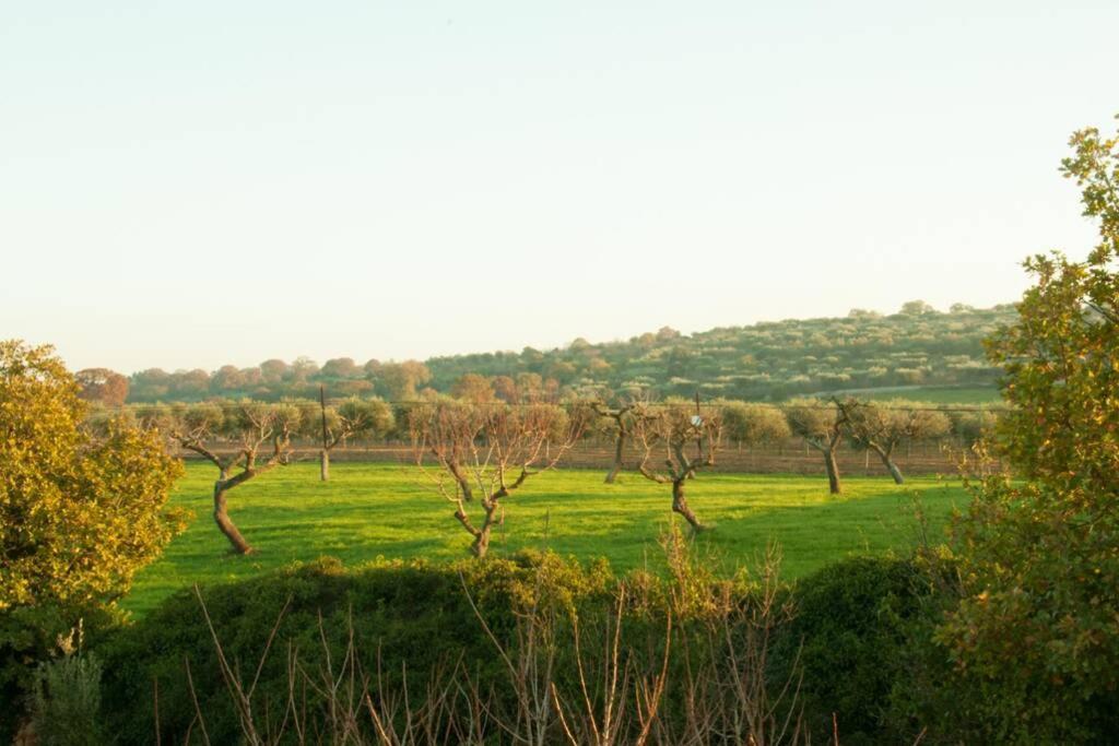 Villa Monn Il Pero Monopoli Esterno foto