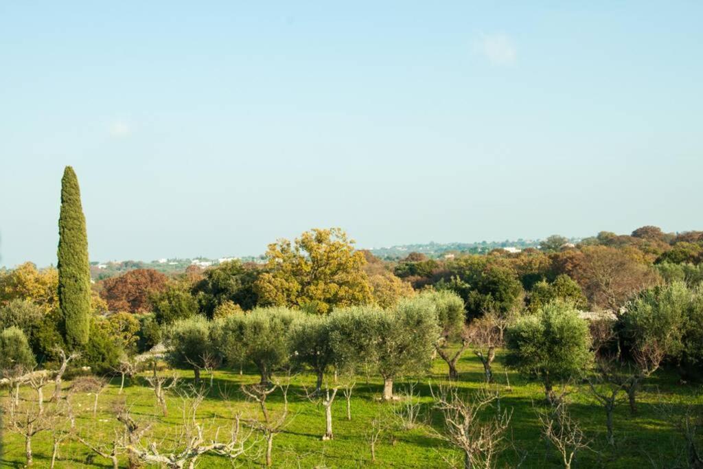 Villa Monn Il Pero Monopoli Esterno foto
